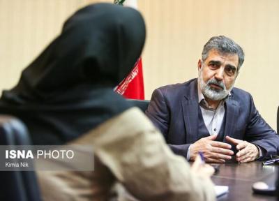 کمالوندی از تأمین بودجه نیروگاه بوشهر با حمایت دولت اطلاع داد