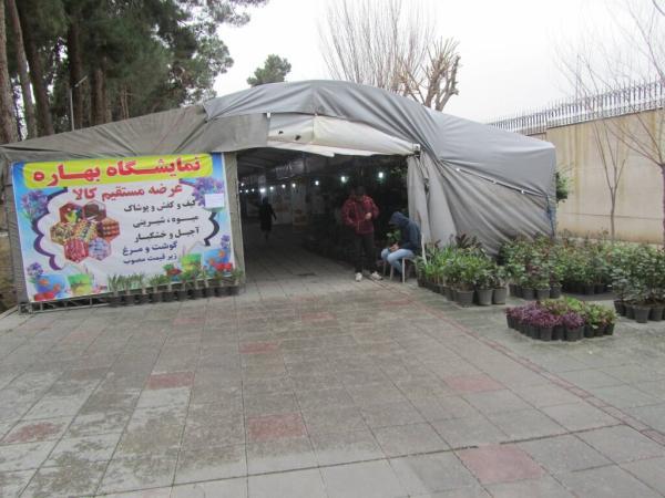 بوستان ها و معابر پرتردد میزبان بازارچه های نوروزی