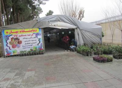 بوستان ها و معابر پرتردد میزبان بازارچه های نوروزی